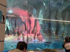 -帝企鹅自助餐厅•儿童岛•真企鹅(长隆企鹅酒店)