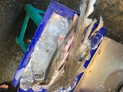 -芭提雅海鲜市场