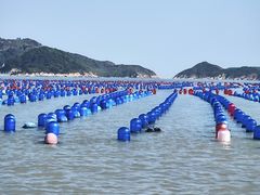 -大京沙滩