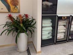 -雅曼妮spa美容养生