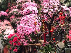 -双季花艺园艺市场(浦东店)