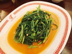 -中国城银都鱼翅酒楼