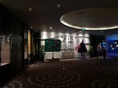 -万达影城(汉街万达广场IMAX店)