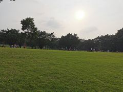 -东莞植物园