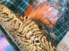 -77号渔船·蒸海鲜青岛菜(积米崖店)