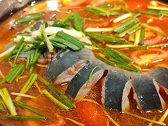 -亮欢寨酸汤鱼(沙冲路店)