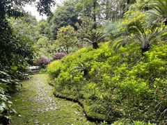 -南山植物园