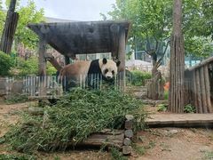 -大连森林动物园