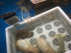 -盒马鲜生(悦峰店)