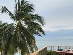 -日落吧·海景咖啡厅·餐酒吧·鸡尾酒·下午茶·乐队表演·浪漫夕阳·三亚文华东方酒店