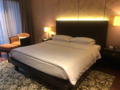 -上海崇明金茂凯悦酒店