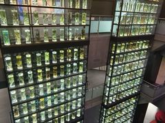-广东中医药博物馆