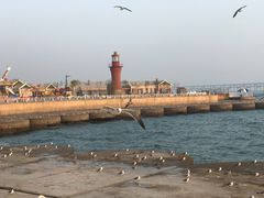 -星海广场