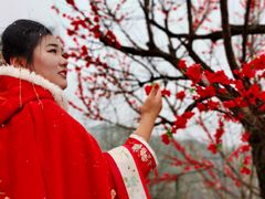 -沂蒙云瀑洞天景区