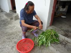 -乡乐园蟹庄·阳澄湖农家乐