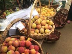 -意大利农场度假村