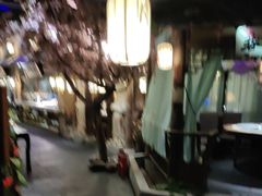 -淀里船宴(裕华东路店)