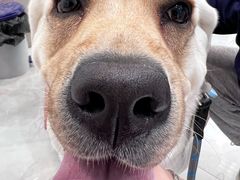 -荔康动物医院(康王北路店)