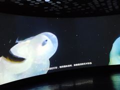-同济大学四平路校区深海探索馆
