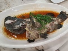 清蒸老虎斑-台山新孖宝柴火黄鳝饭(三合温泉店)