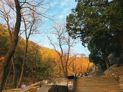 -泰澜·泰式古法按摩SPA(华泰广场店)