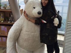 -济州岛泰迪熊博物馆