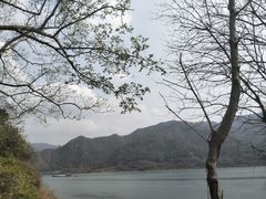 -羚羊峡古栈道森林公园