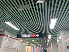 -紫庐(地铁站)