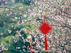 -桃花涧