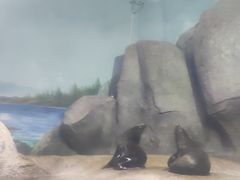 -福州罗源湾海洋世界旅游区