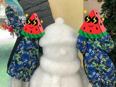 -世界之窗阿尔卑斯冰雪世界