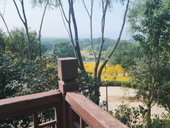 -北坞公园