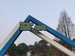 -铁山坪森林公园