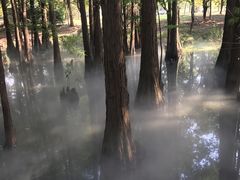 -东湖落雁景区