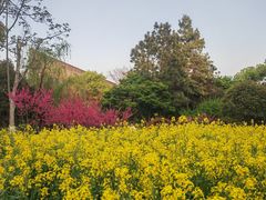 -圩墩遗址公园