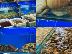 -桔子海鲜烧烤大排档(金沙滩店)
