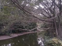 -人民公园(罗湖区)