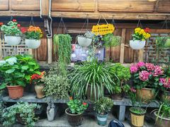 大堂-龙姐私房菜(和顺古镇店)