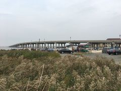 -红海滩国家风景廊道