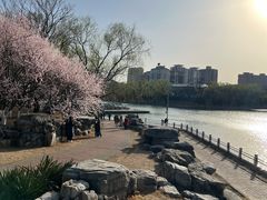 -朝阳公园游乐园