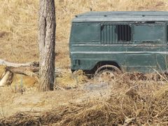 -北京野生动物园