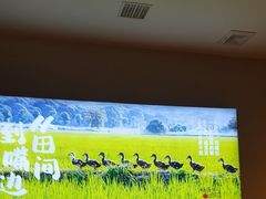 -杨厨的田园饭店(长城路店)