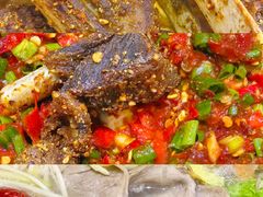 -九寨特色牦牛肉汤锅 羊肉汤锅