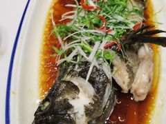 -瓷忆·瓷文化餐厅(上海店)