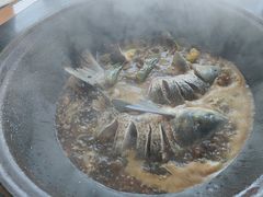 -怀来官厅水库