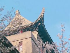 -武汉大学-樱园
