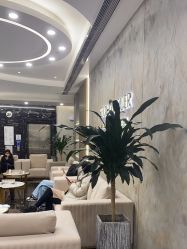 -上海首尔丽格医疗美容医院
