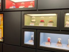 -岳阳市博物馆
