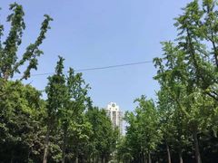 -苏州河梦清园环保主题公园