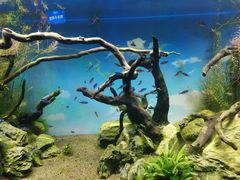 -沈阳海洋探索中心